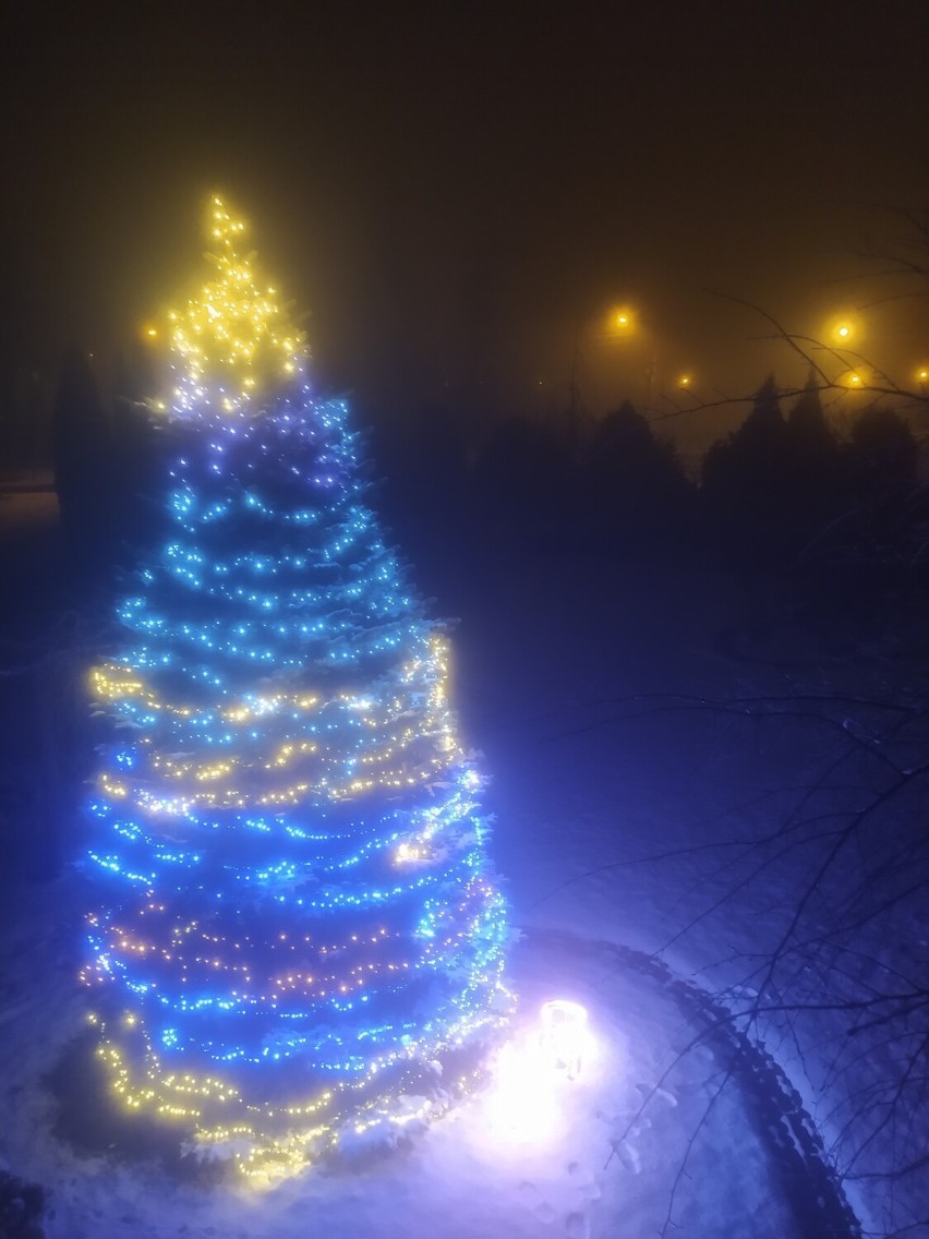 Świąteczne choinki na fotografiach naszych Czytelników