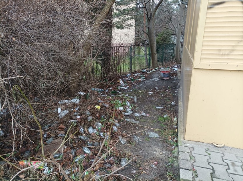 Śmieci w obrębie pawilonu handlowego przy ul. Hallera w Oleśnicy
