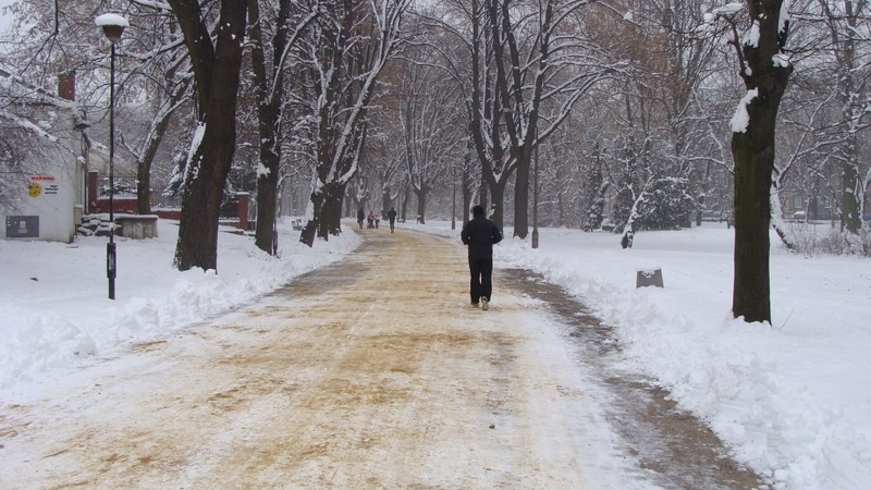 Śnieżna zima w Parku Skaryszewskim [ZDJĘCIA]