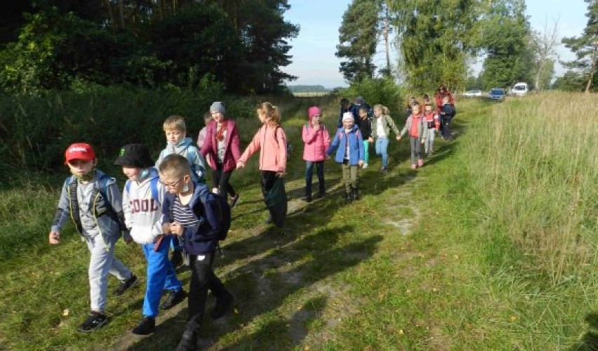 Młode pokolenie brało udział w pożytecznej akcji. Sadzili las, by pokazać, że zależy im na przyrodzie