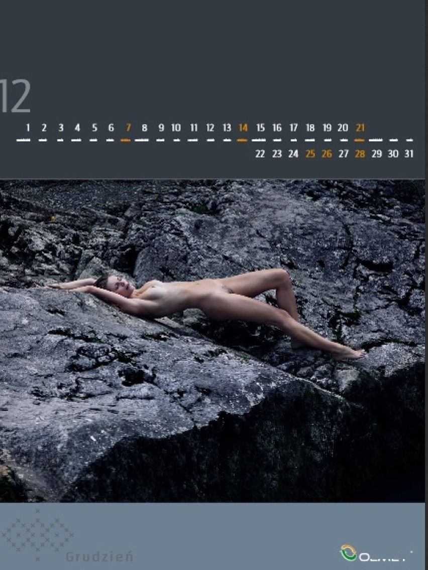 Kalendarz 2014 Olmetu