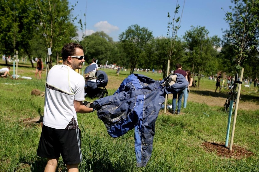 Tak w 2018 roku powstawał Park Krakowian przy ul. Tadeusza...