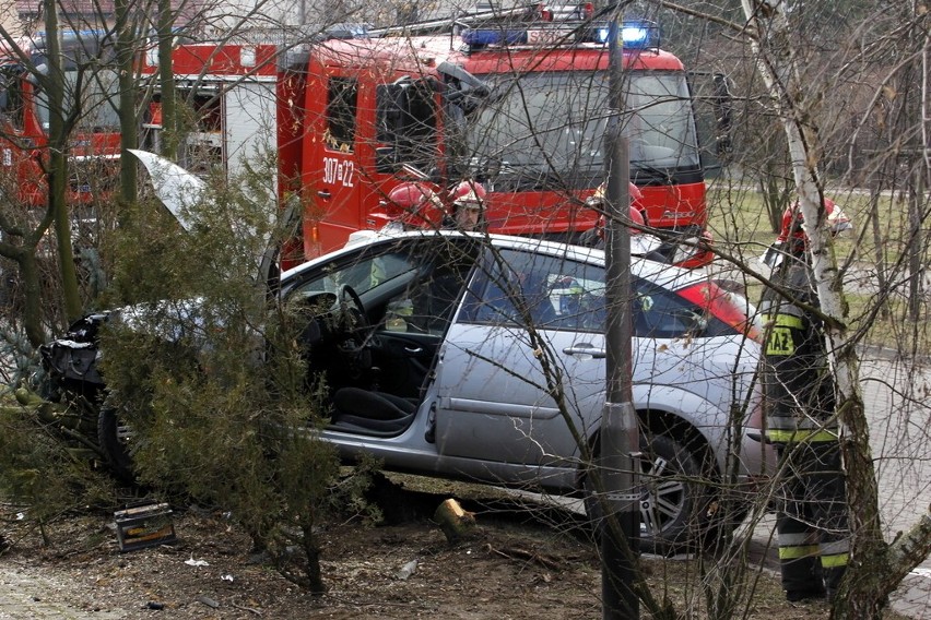 Wrocław: Wypadek na Mrągowskiej. Pod wpływem narkotyków wjechał w drzewo (ZDJĘCIA)