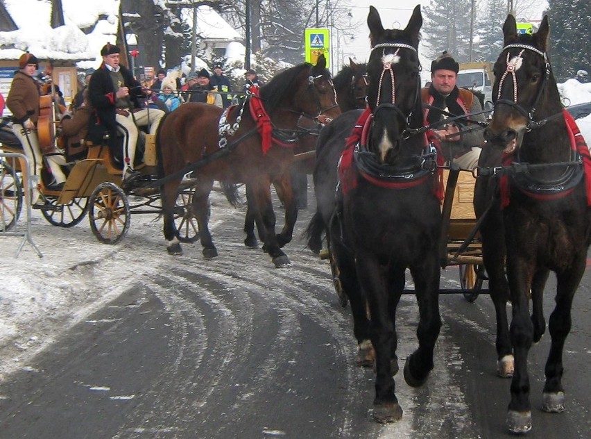 Dąbrówka Wielkopolska- grocze na bukowinie (foto)