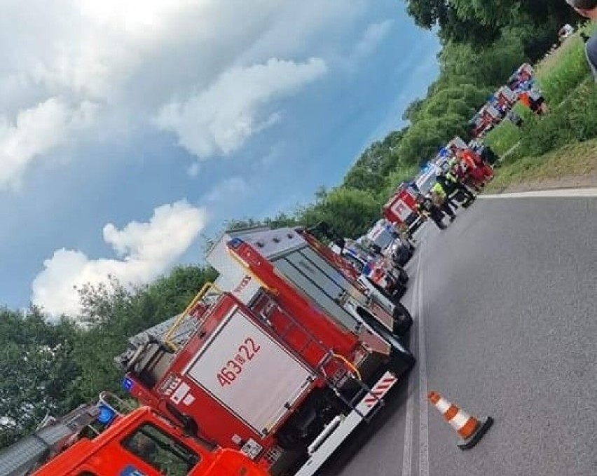 Wypadek autokaru w Ścinawce Górnej. Wycieczka jechała do Zamku Książ w Wałbrzychu. Autokar w rowie, 11 osób rannych