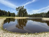 Ciekawe miejsca na Podkarpaciu na wycieczkę. Nadleśnictwo Tuszyma [ZDJĘCIA, WIDEO]