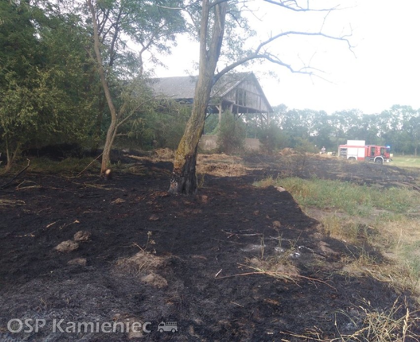Gmina Kamieniec: Pożar siana. Zagrożony był drewniany budynek