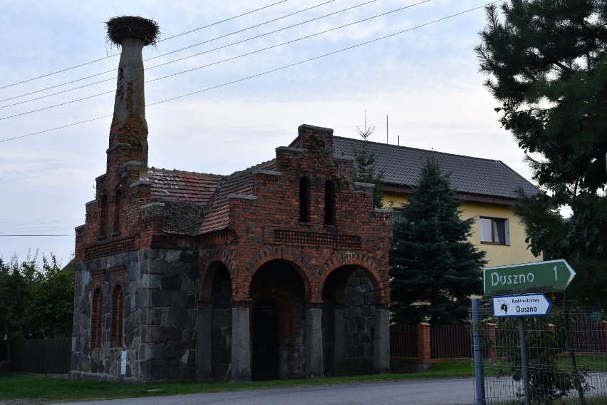 Gmina Trzemeszno. Punkt widokowy w Dusznie. Te panoramy zachwycają! [FOTO]