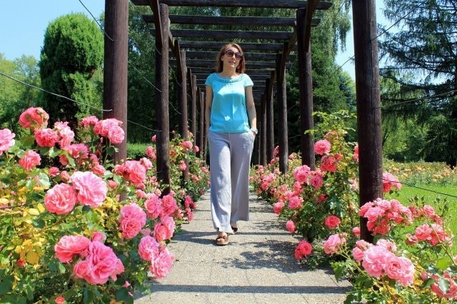 Rosarium w Parku Śląskim cieszy się ogromnym zainteresowaniem mieszkańców Chorzowa.