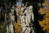 Najpiękniejsze nagrobki na Starym Cmentarzu w Piotrkowie. Trwa kwesta na ich ratowanie [ZDJĘCIA] 