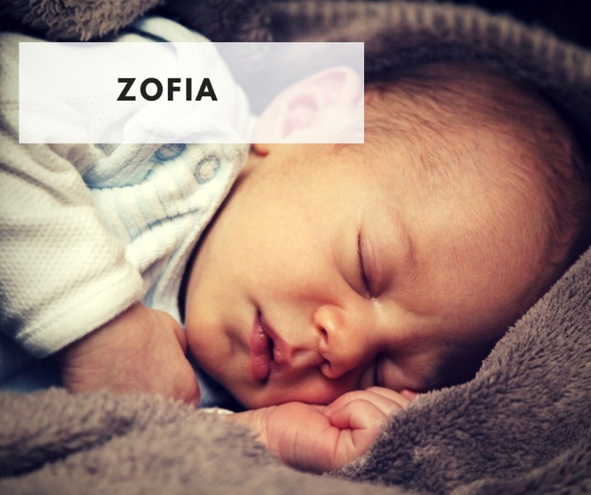 Miejsce 3

133 - tyle urodziło się Zofii.