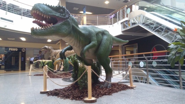 Galeria Tęcza w Kaliszu zaprasza do oglądania wystawy dinozaurów