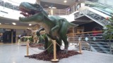 Galeria Tęcza w Kaliszu zaprasza do oglądania wystawy dinozaurów [FOTO]