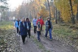 Spacery nordic walking po Lesie Kabackim. Dołącz do bezpłatnych zajęć