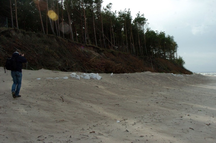 Ochrona morskiego brzegu przed sztormami w Rowach: Ułożyli worki z granulatem [FOTO]