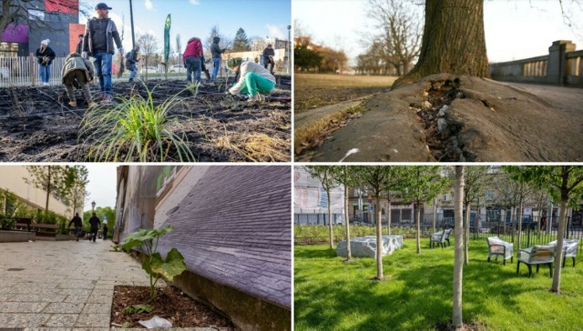 Radni z klubu Kraków dla Mieszkańców przekonują, że trzeba przeznaczać więcej środków na wykup terenów pod parki i lasy. Miasto odpowiada, jak wiele robi w tym zakresie.