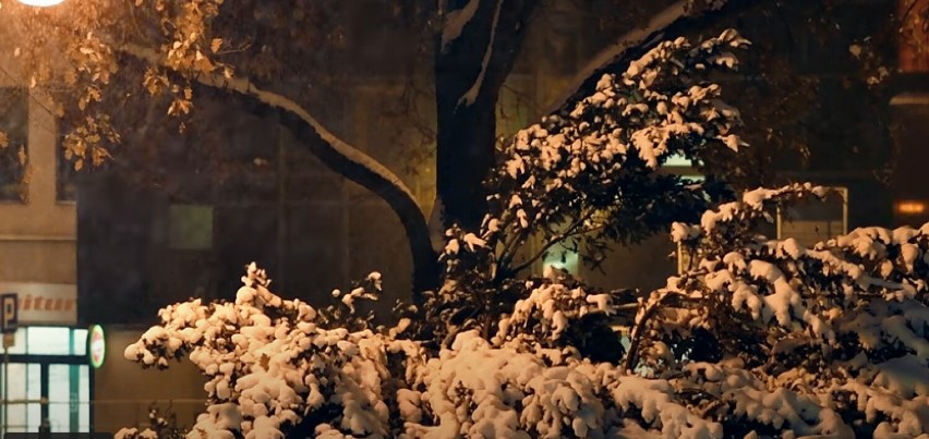 Lubię zimę nocą - nowa piosenka Moniki Saktury i tomaszowskich artystów FILM