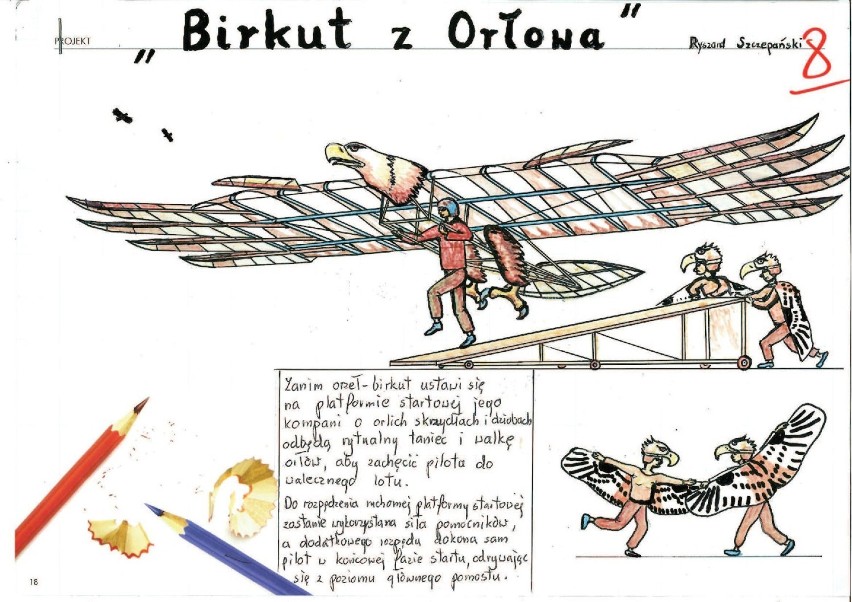 Birkut z Orłowa