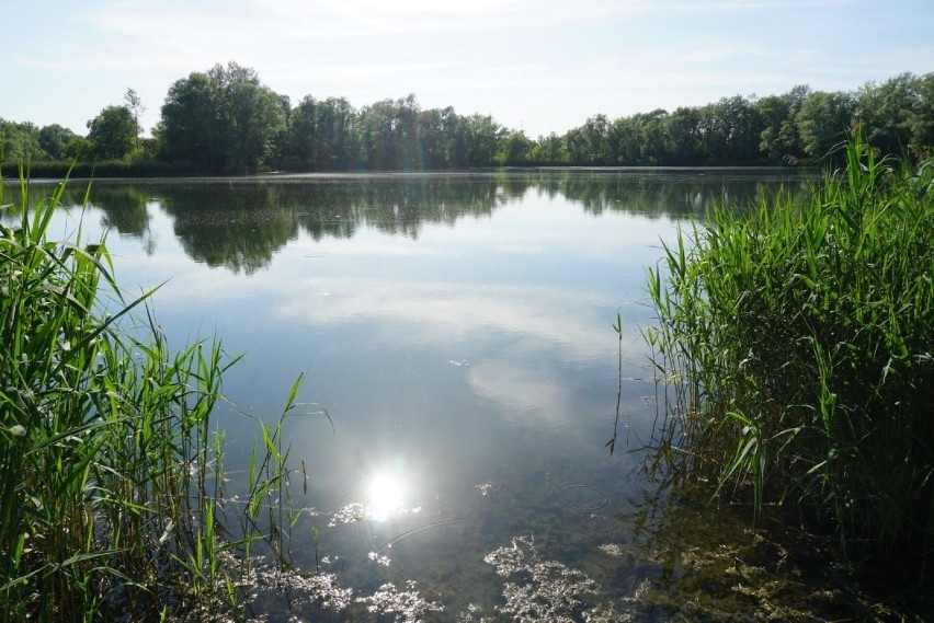 Przylasek Rusiecki - "małopolskie Mazury" w Nowej Hucie 