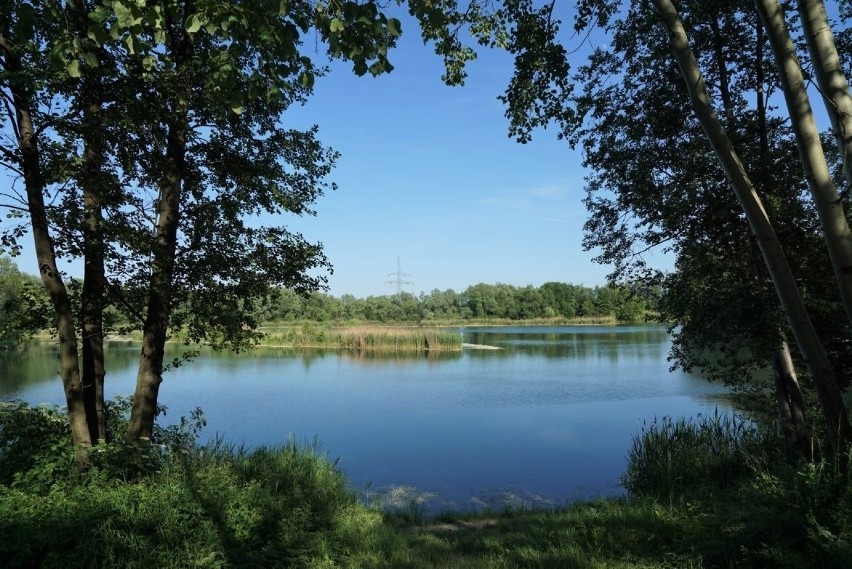 Przylasek Rusiecki - "małopolskie Mazury" w Nowej Hucie 