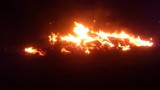 Pożar w Parzewie: Paliły się baloty [ZDJĘCIA]