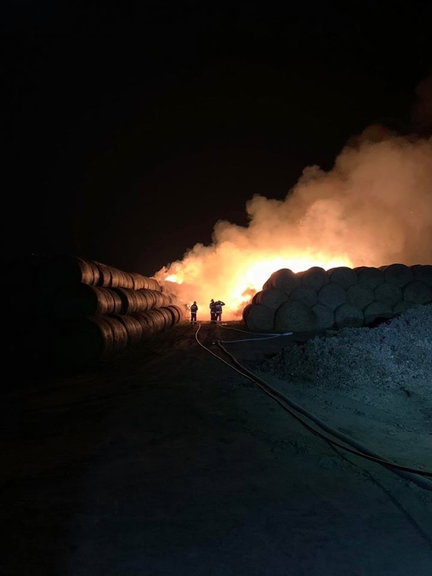 Pożar w gminie Mokrsko. Strażacy z 12 jednostek walczyli z żywiołem  20 godzin ZDJĘCIA