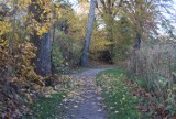 Park Rodzinny nad Jeziorem Kaplicznym w Kościerzynie poleca się na jesienny spacer. Jest pięknie! [ZDJĘCIA]