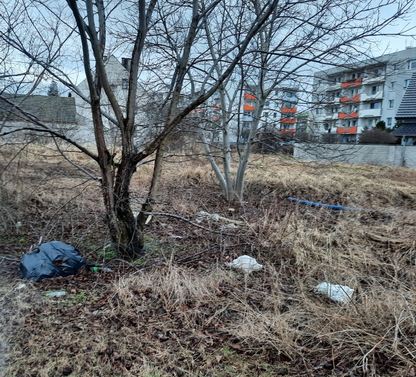 Opolanie skarżą się, że ratusz nie dba należycie o porządek...