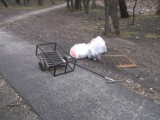 Straż miejska Ruda Śląska: Złodzieje ukradli kratę studzienki kanalizacyjnej [FOTO]