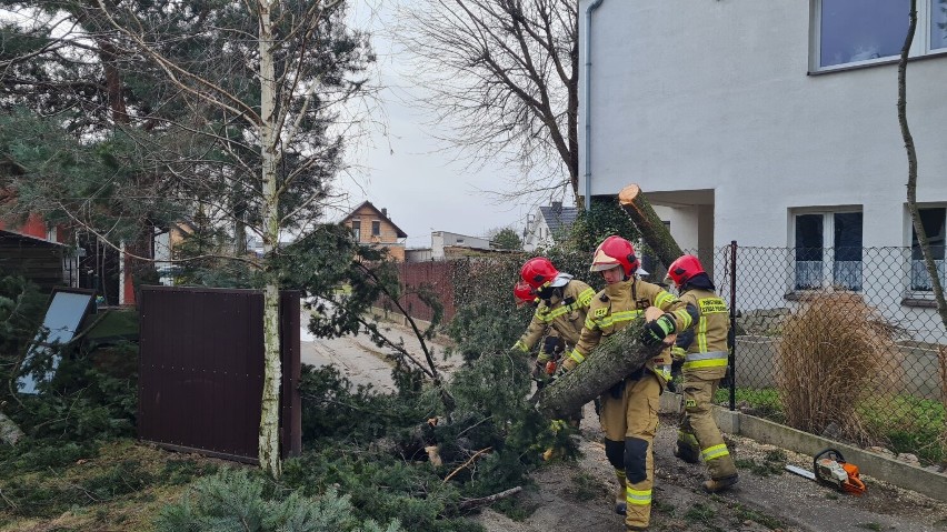 Weekendowe wichury dały się we znaki mieszkańcom powiatu kościańskiego. Strażacy byli wzywani do powalonych drzew i uszkodzonych dachów 