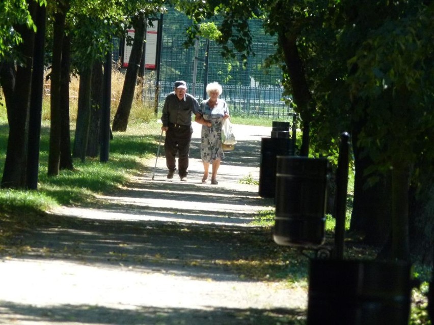 Letnie, niedzielne popołudnie w Parku Miejskim w Zduńskiej Woli