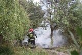Pożar na działce w Sosnowcu