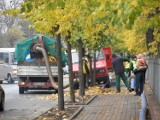 KRÓTKO: Żory: odkurzanie miasta z...liści. Zobacz prace porządkowe przy ul.Męczenników Oświęcimskich