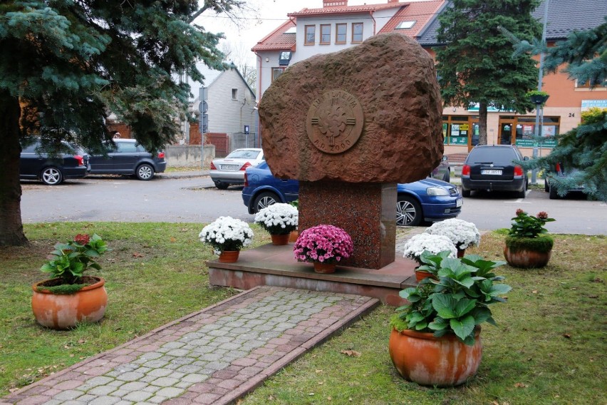 Gmina Staszów pomogła sprzedawcom chryzantem. Kwiaty stanęły w różnych zakątkach miasta (ZDJĘCIA)