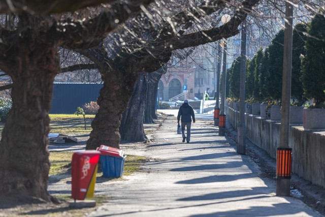 Modernizacja parku za Ratuszem rozpocznie się 21 lutego.