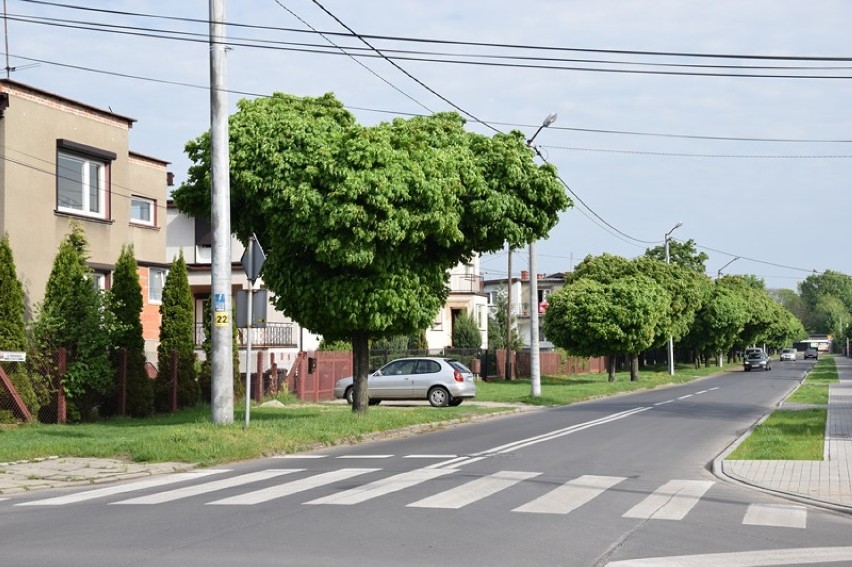 Mieszkańcy nie chcą chodnika przy Hetmańskiej. Wolą mieć drzewa i trawnik