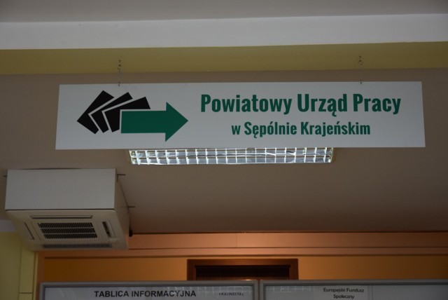 Takie oferty pracy są w Sępólnie Krajeńskim i okolicach | Sępólno Krajeńskie  Nasze Miasto