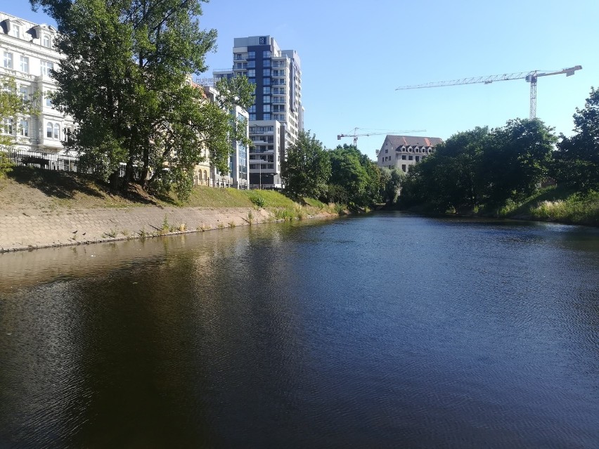 Wrocławscy naukowcy badają wodę w miejskiej fosie. Opracują...