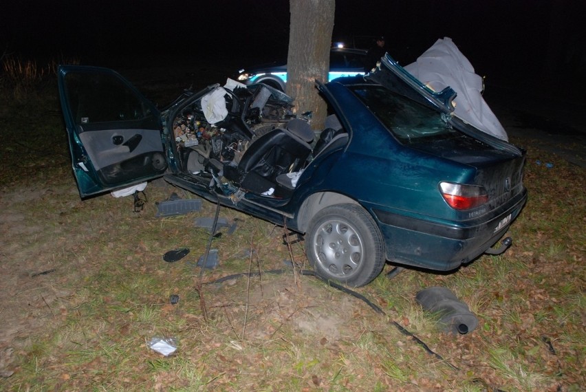 Szastarka/Polichna: Peugeot wypadł z drogi, jedna osoba nie żyje (ZDJĘCIA)