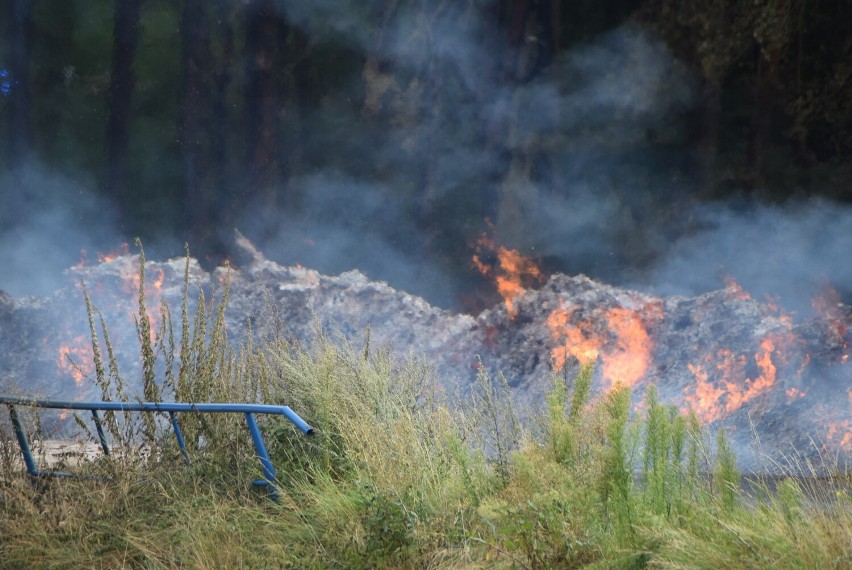 Pilne! Podejrzani o podpalenia w gminie Brąszewice zatrzymani na gorącym uczynku! FOTO