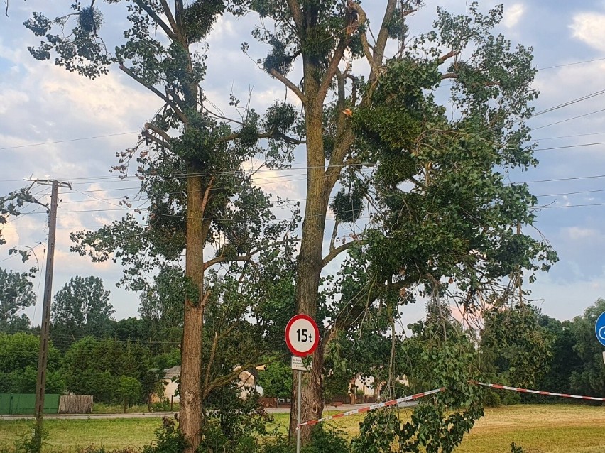 Nawałnica w Bolimowie - połamane drzewa i zerwane linie...