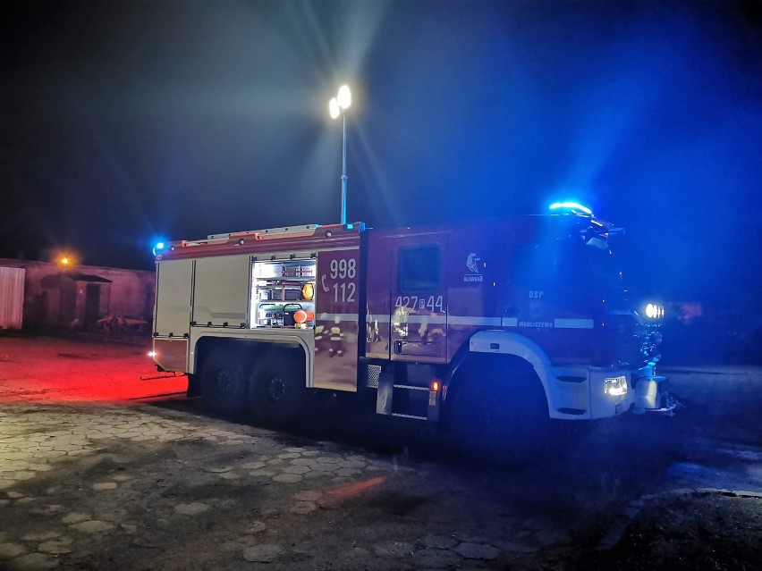 Powiat Gniezno: strażacy uratowali bydło i psa