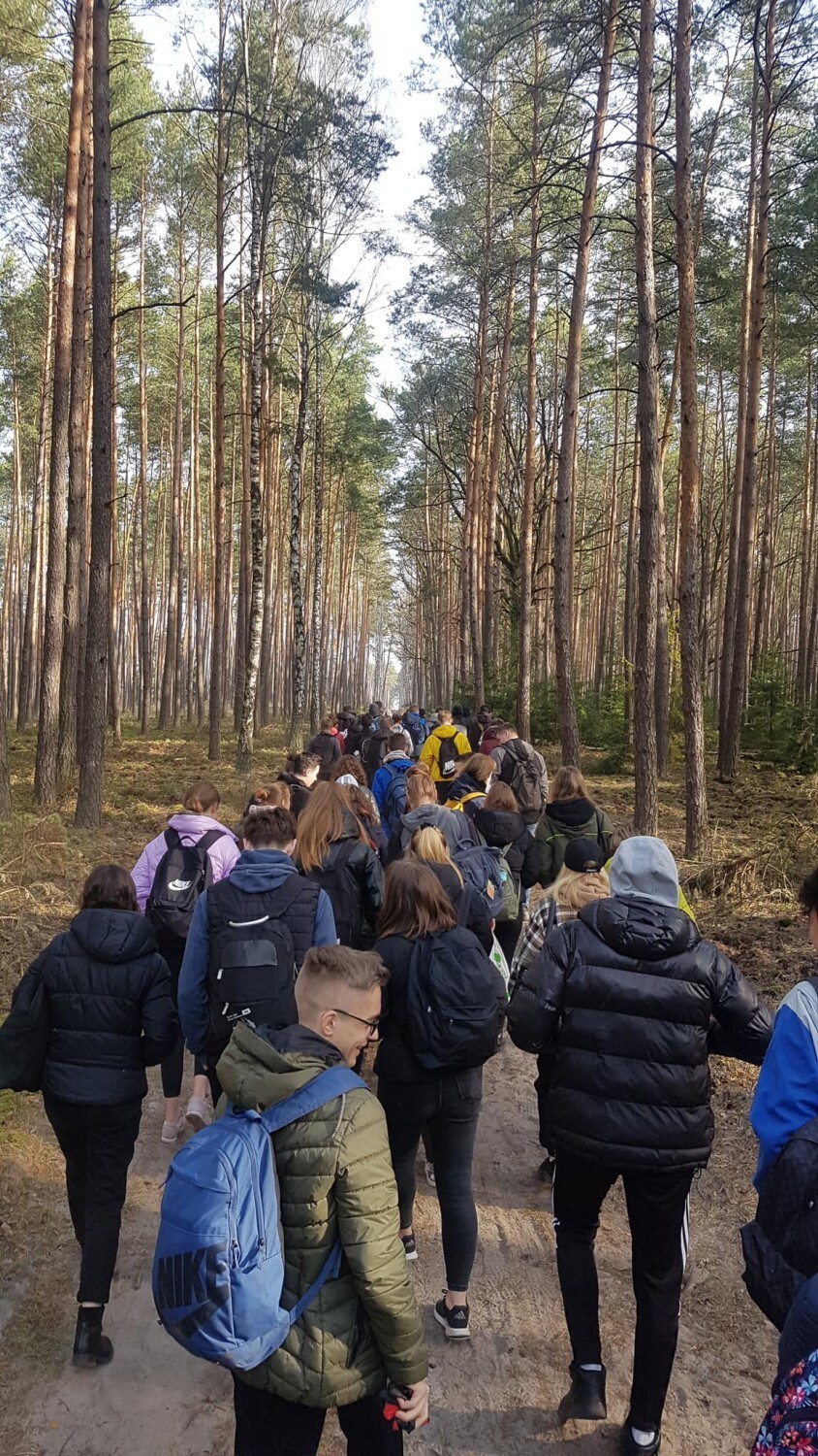 Wieluńska młodzież posadziła hektar sosnowego lasu FOTO