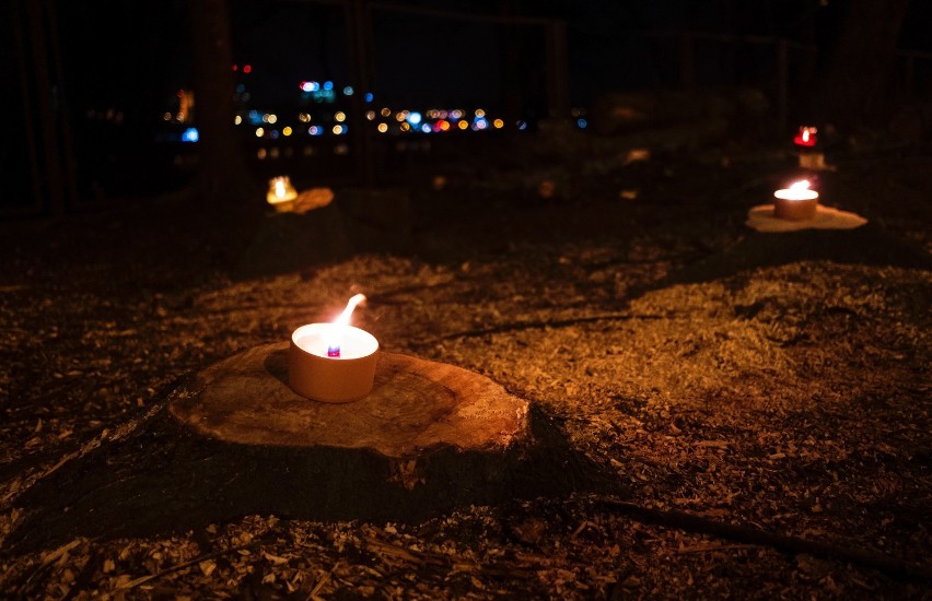"Zapal świeczkę drzewom". Aktywiści po raz kolejny protestują przeciwko wycince drzew na warszawskiej Pradze