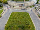 Białystok. W ciągu kolejnych trzech lat przybędzie łąk kwietnych. W sumie ma ich być 10 hektarów