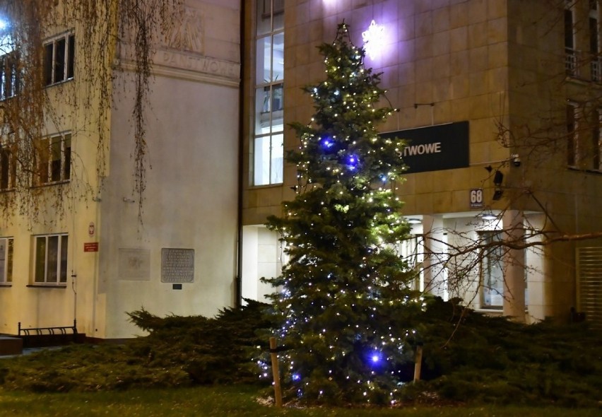 Radom gotowy na święta Bożego Narodzenia. W całym mieście można spotkać dekoracje (ZDJĘCIA)