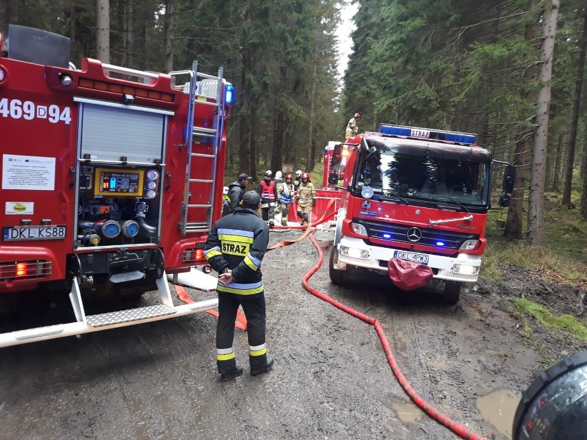 Pożary - 13, miejscowe zagrożenia - 19, alarmy fałszywa - 2....