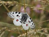 Trochę ruchu i ciekawostek nie zaszkodzi! Wakacyjne Podróże Naukowe zapraszają