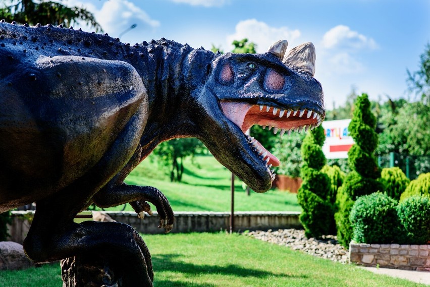 Gdzie na weekend? Rodzinny Park Rozrywki BRYLLANDIA: mini zoo, dmuchańce, konie i bezpłatny wstęp [GALERIA]