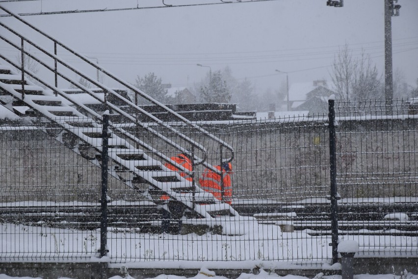 Miasto pod śniegiem. Skierniewice w zimowej odsłonie